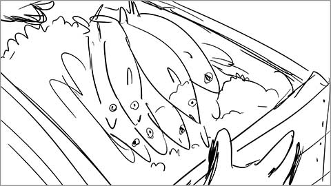 storyboard