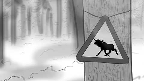 storyboard