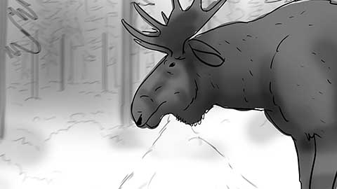 storyboard