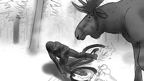 storyboard