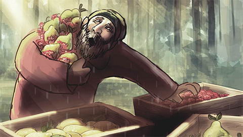 storyboard
